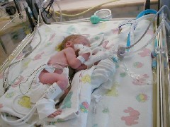Jacob Wheeler birth